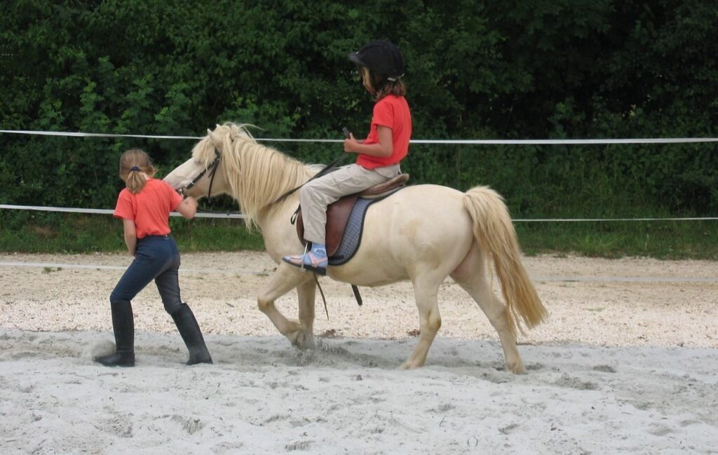 Quel est le prix moyen d'un cours d'équitation ?