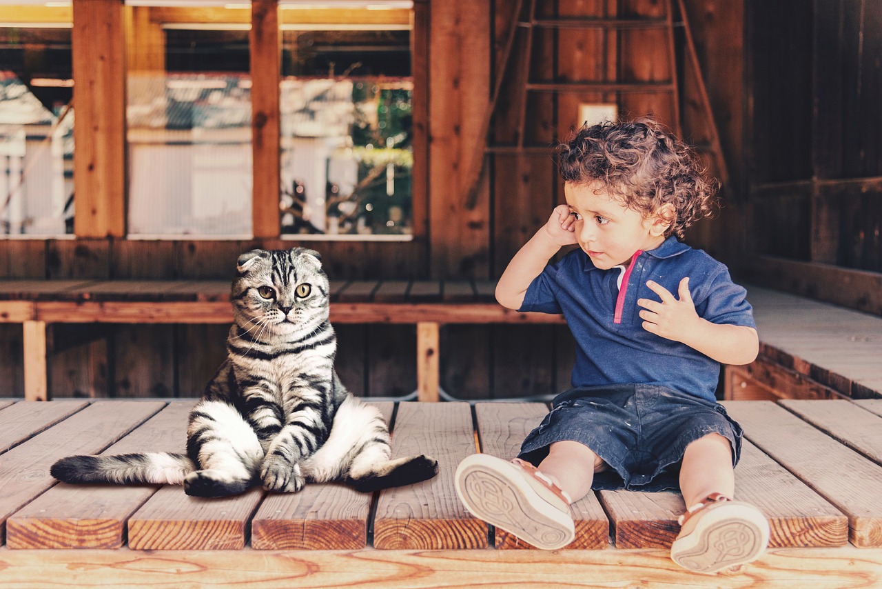 Offrir un animal de compagnie pour votre enfant : pourquoi un chat ?