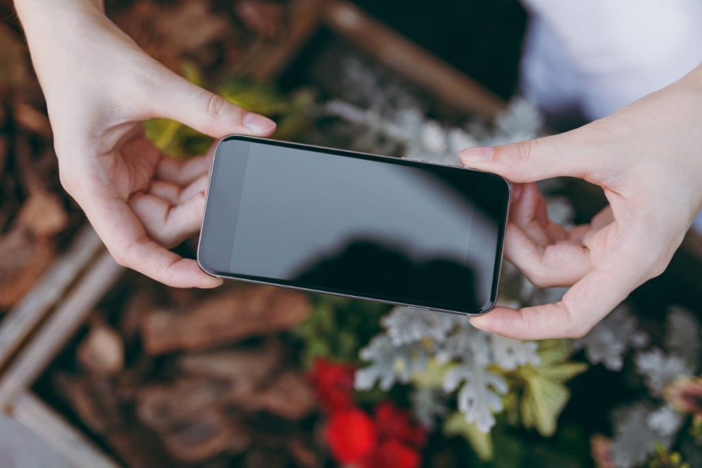 Les innovations technologiques dans les services funéraires