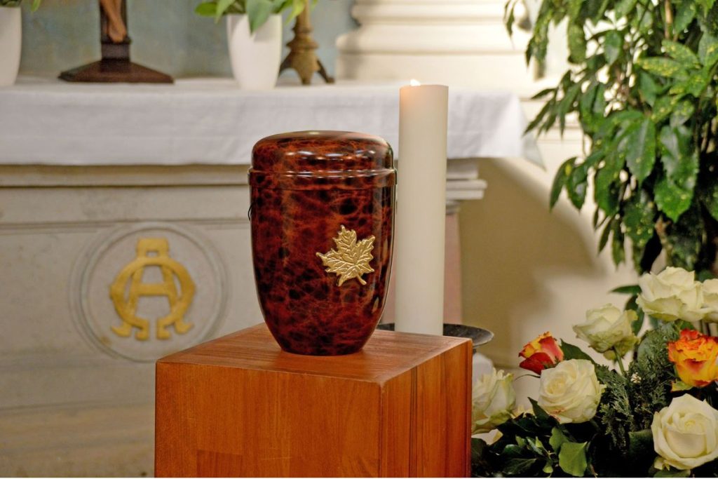 1-Les urnes aquatiques